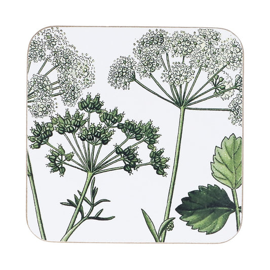 Cork Base Coaster|Spring Hedgerow 4/pack