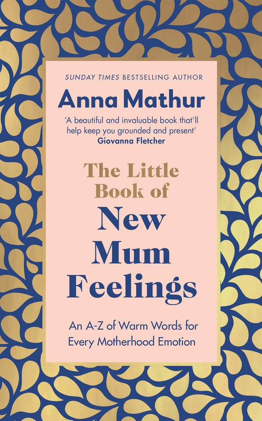 Little Book Of New Mum Feelings