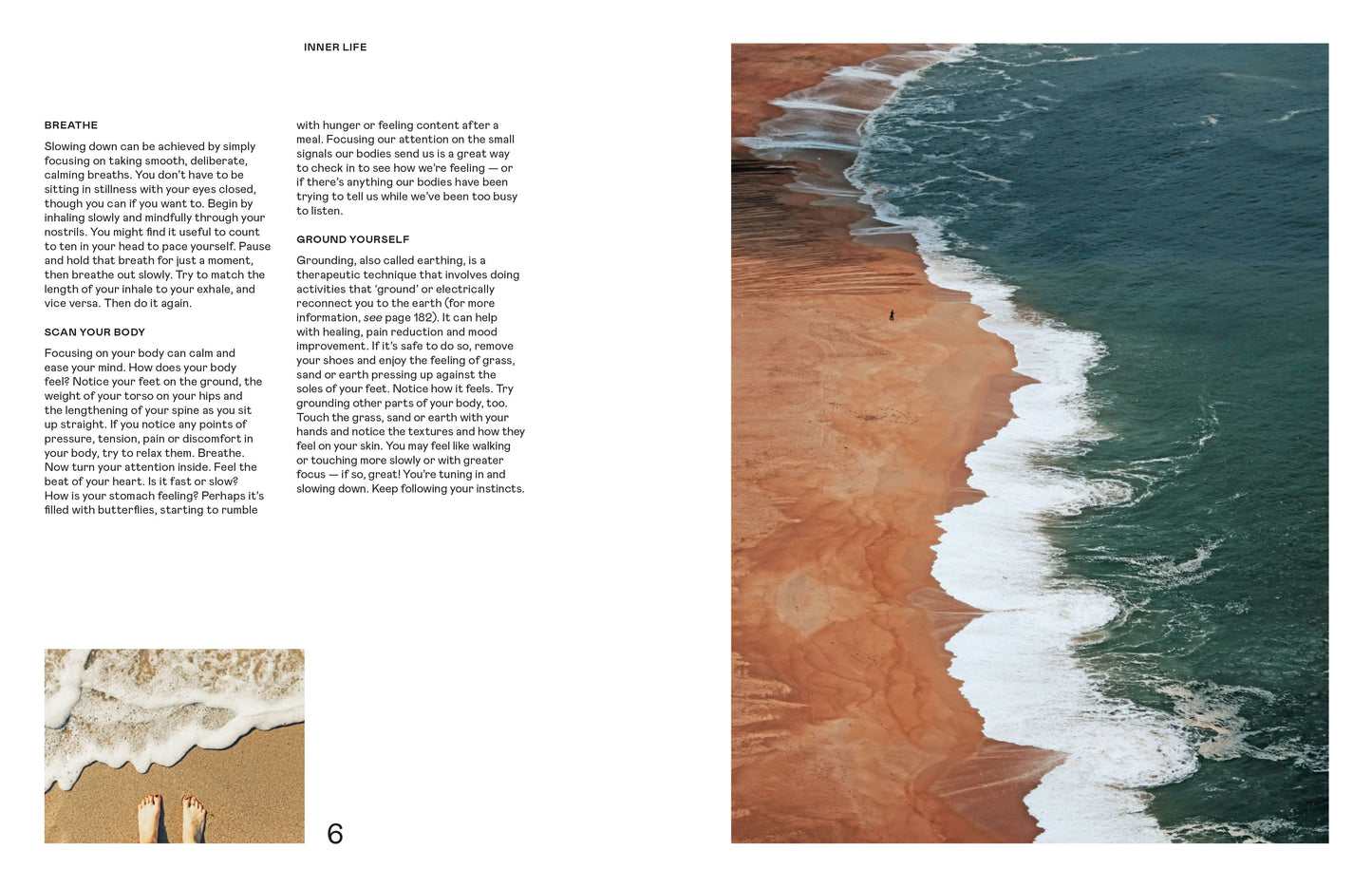 WILD LIFE: 50 PROJECTS TO REWILD YOUR LIFE (HB)