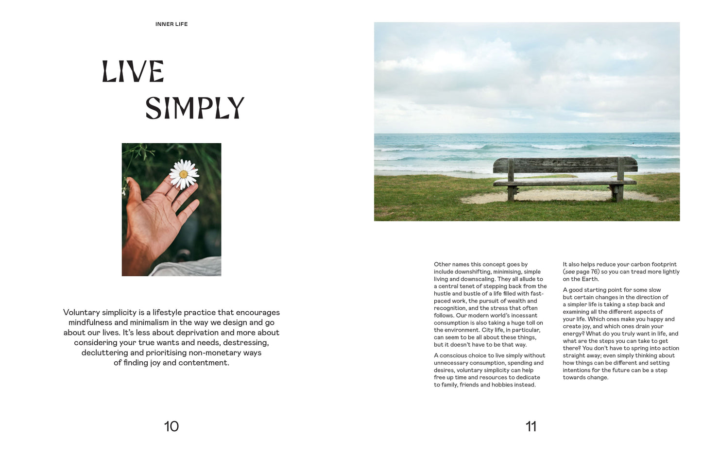 WILD LIFE: 50 PROJECTS TO REWILD YOUR LIFE (HB)