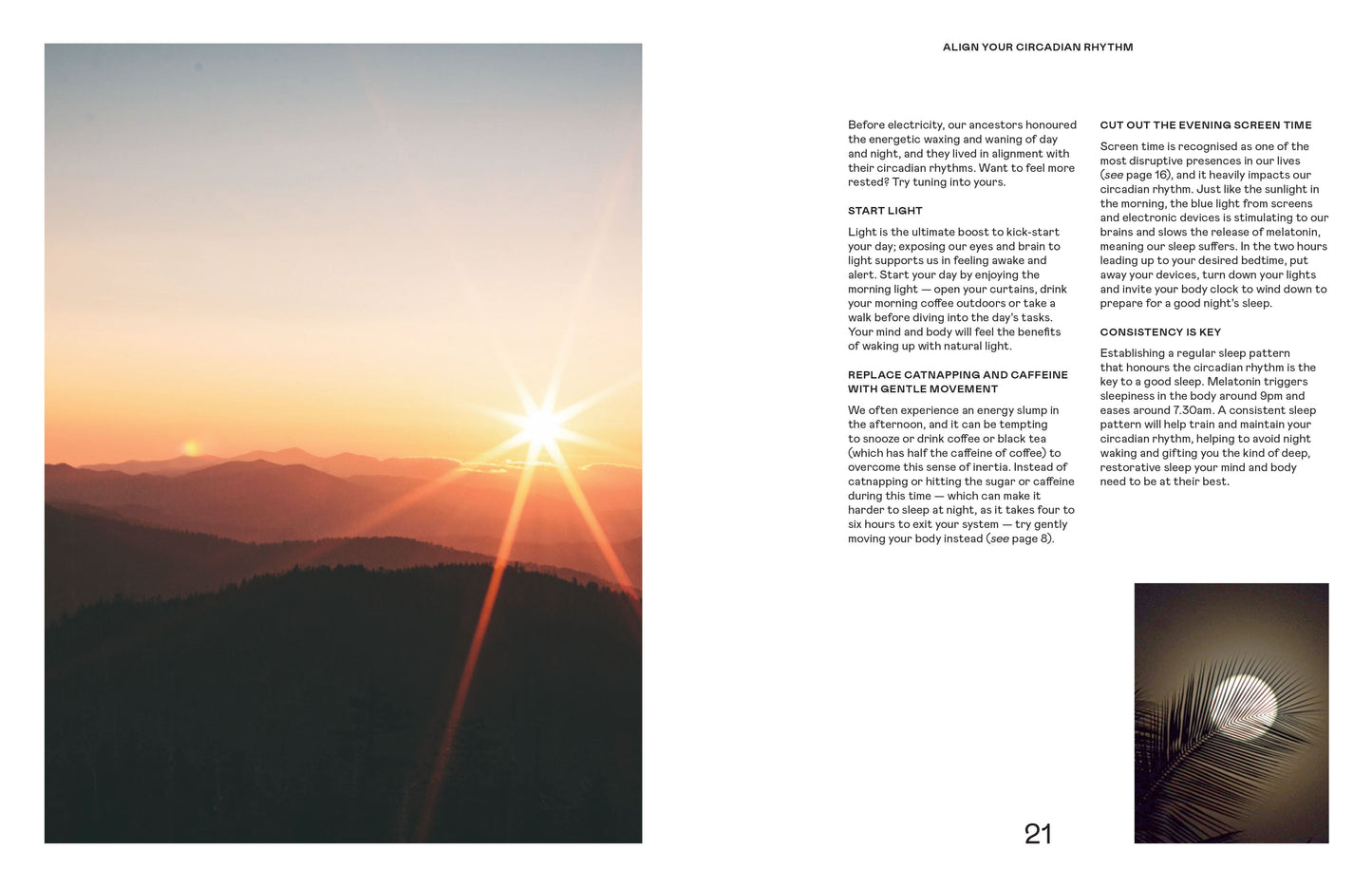 WILD LIFE: 50 PROJECTS TO REWILD YOUR LIFE (HB)