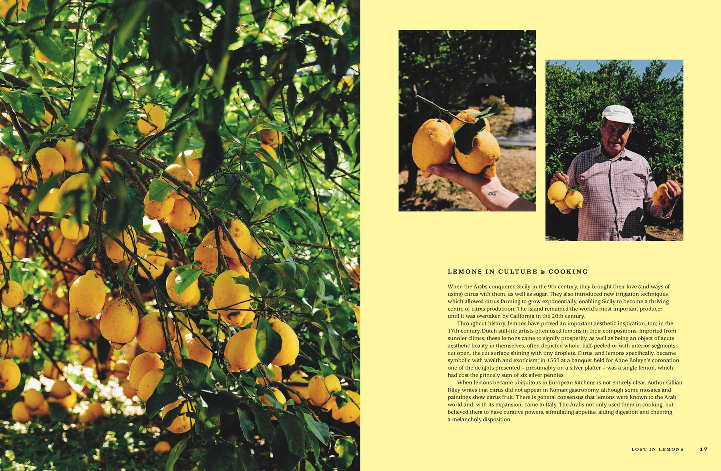 FOR THE LOVE OF LEMONS: ITALIAN INSPIRED (HB)