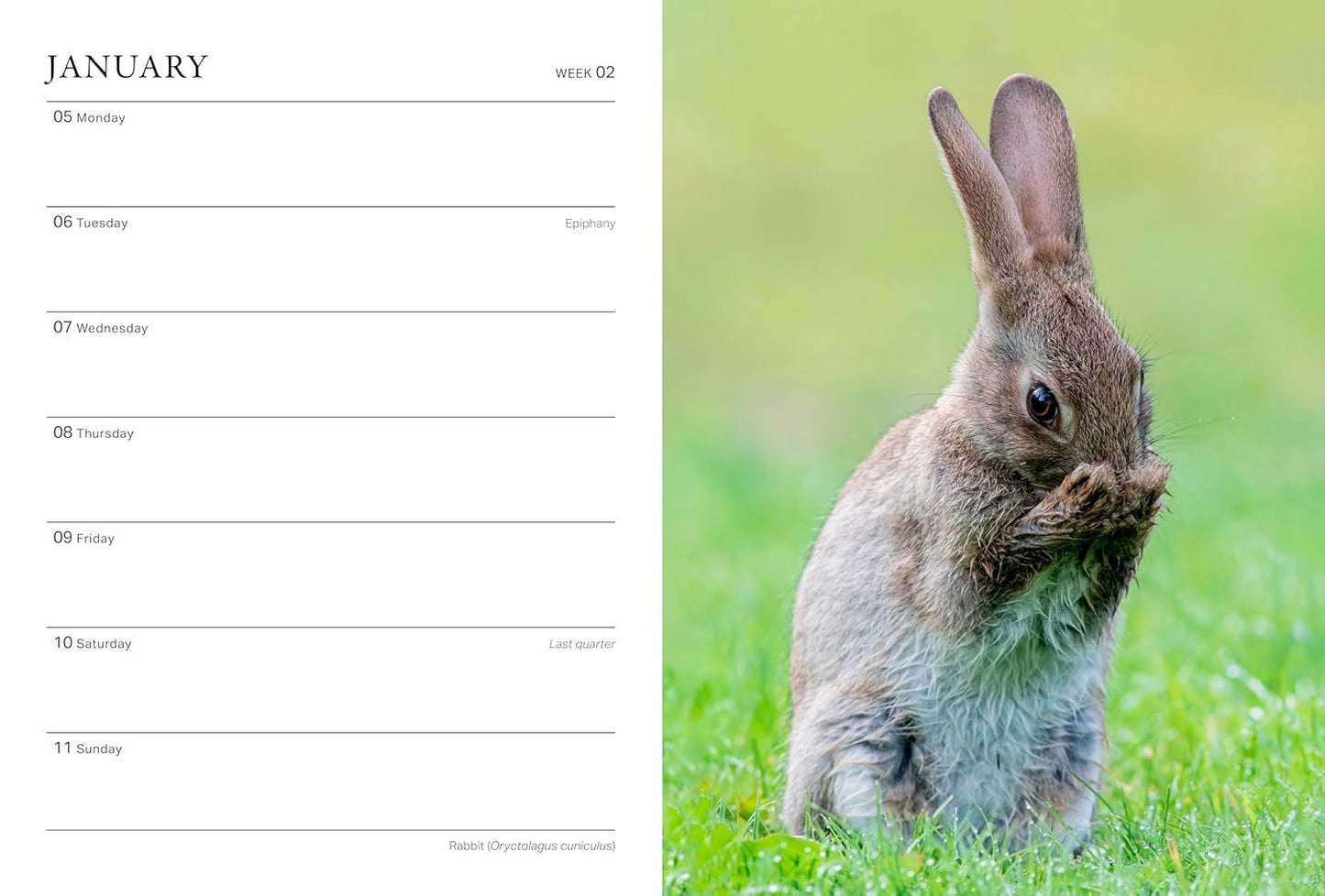 RHS Wild In The Garden Diary 2026