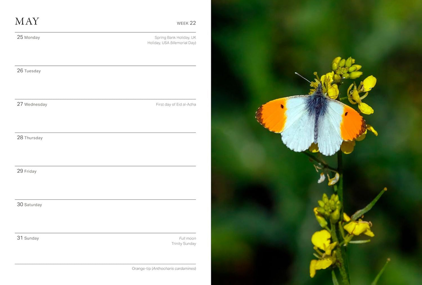 RHS Wild In The Garden Diary 2026