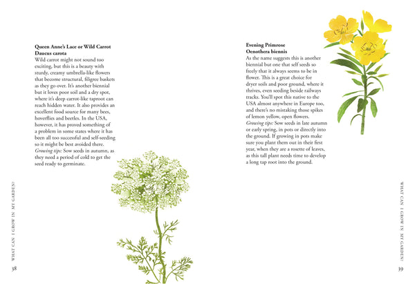 PLANTING WILDFLOWERS: A GROWERS GUIDE (HB)