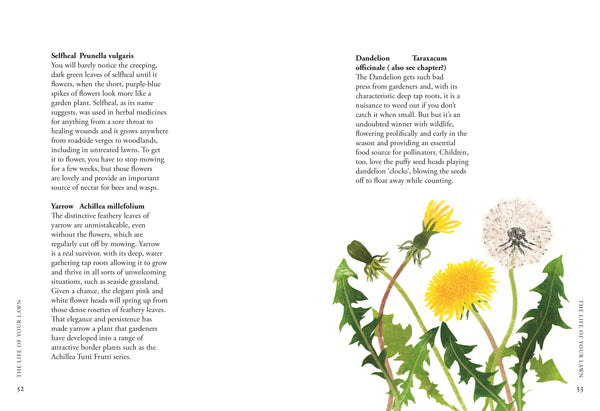 PLANTING WILDFLOWERS: A GROWERS GUIDE (HB)