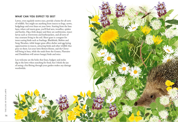 PLANTING WILDFLOWERS: A GROWERS GUIDE (HB)