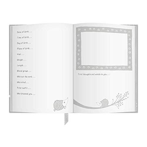 EARLY YEARS JOURNAL (GREY)