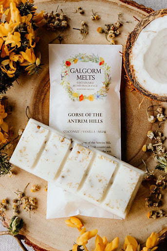Galgorm Melts | Gorse of The Antrim Hills | Soy Wax Melt