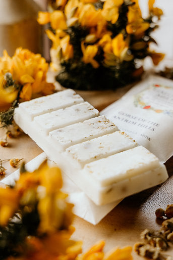 Galgorm Melts | Gorse of The Antrim Hills | Soy Wax Melt