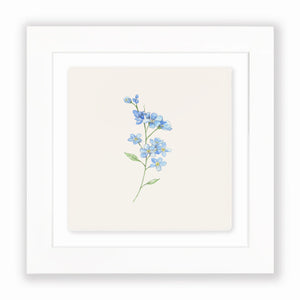 Crumble & Core | Ceramic Framed Tile | Forget Me Not Design