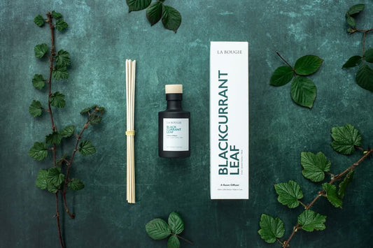 La Bougie | Blackcurrant Leaf | Diffuser