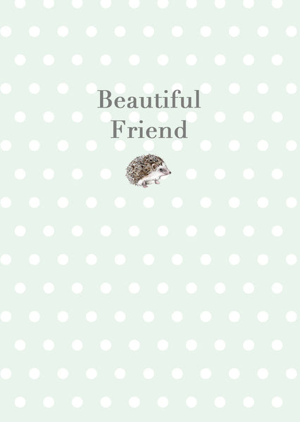 Crumble & Core | A6 Greeting Card with Ceramic Keepsake | Hedgehog Beautiful Friend