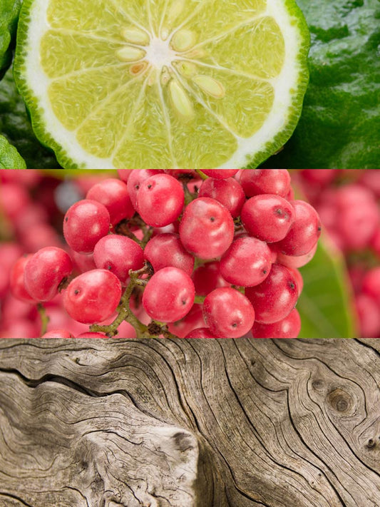 Yodeyma | Nº101 | Inspired by Dior's Sauvage