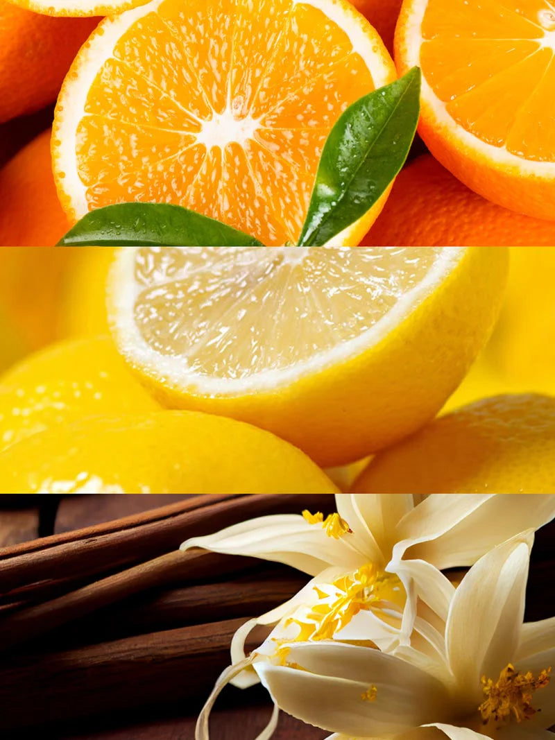 Yodeyma | Nº118 Inspired by Xerjoff's Erba Pura