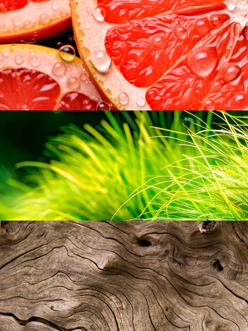 Yodeyma | Nº119 | Inspired by Parfums de Marly's Perseus