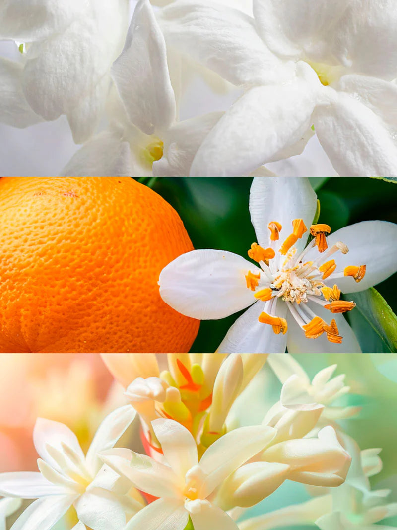 Yodeyma | Nº48 | Inspired by Chanel's Gabrielle