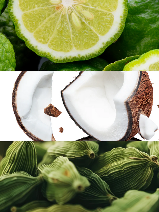 Yodeyma | Nº35 | Inspired by Tom Ford's Eau de Soleil Blanc