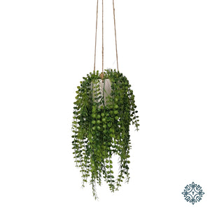 Hanging Necklace Plant with White Pot