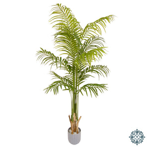 Artificial Lady Palm Tree | 170cm