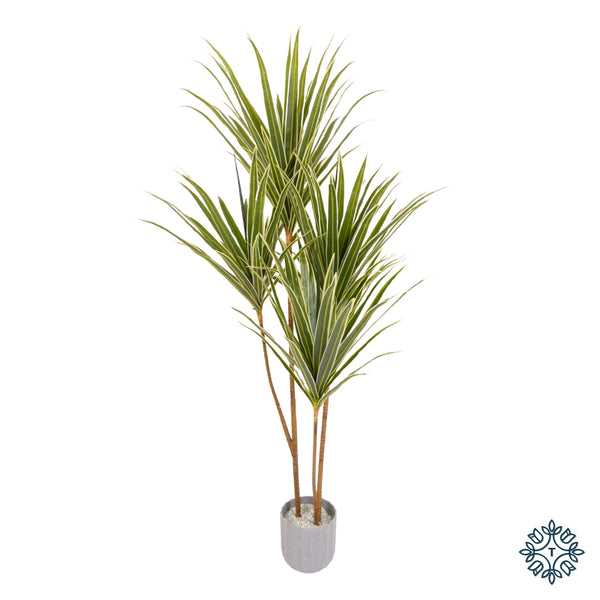 Artificial Dracaena Tree | Green | 150cm