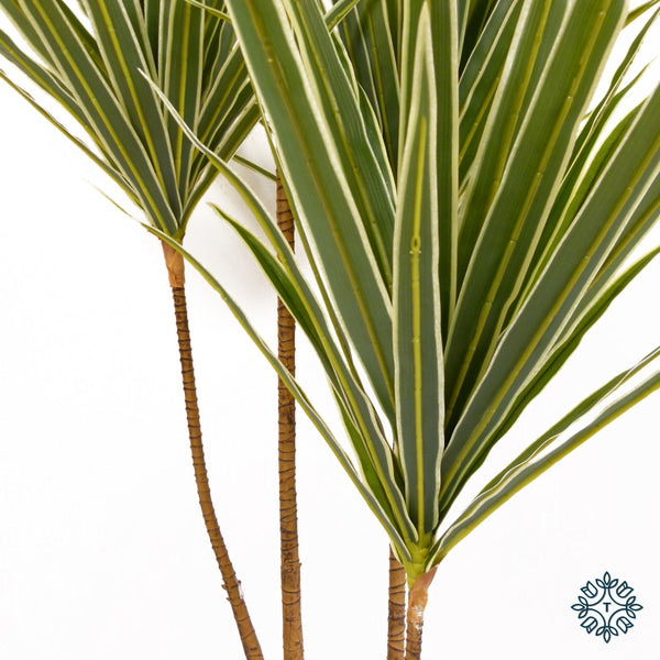 Artificial Dracaena Tree | Green | 150cm