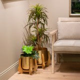 Chandra Planter With Mango Stand Gold Sml