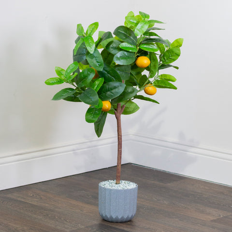 Lemon Tree | 80cm