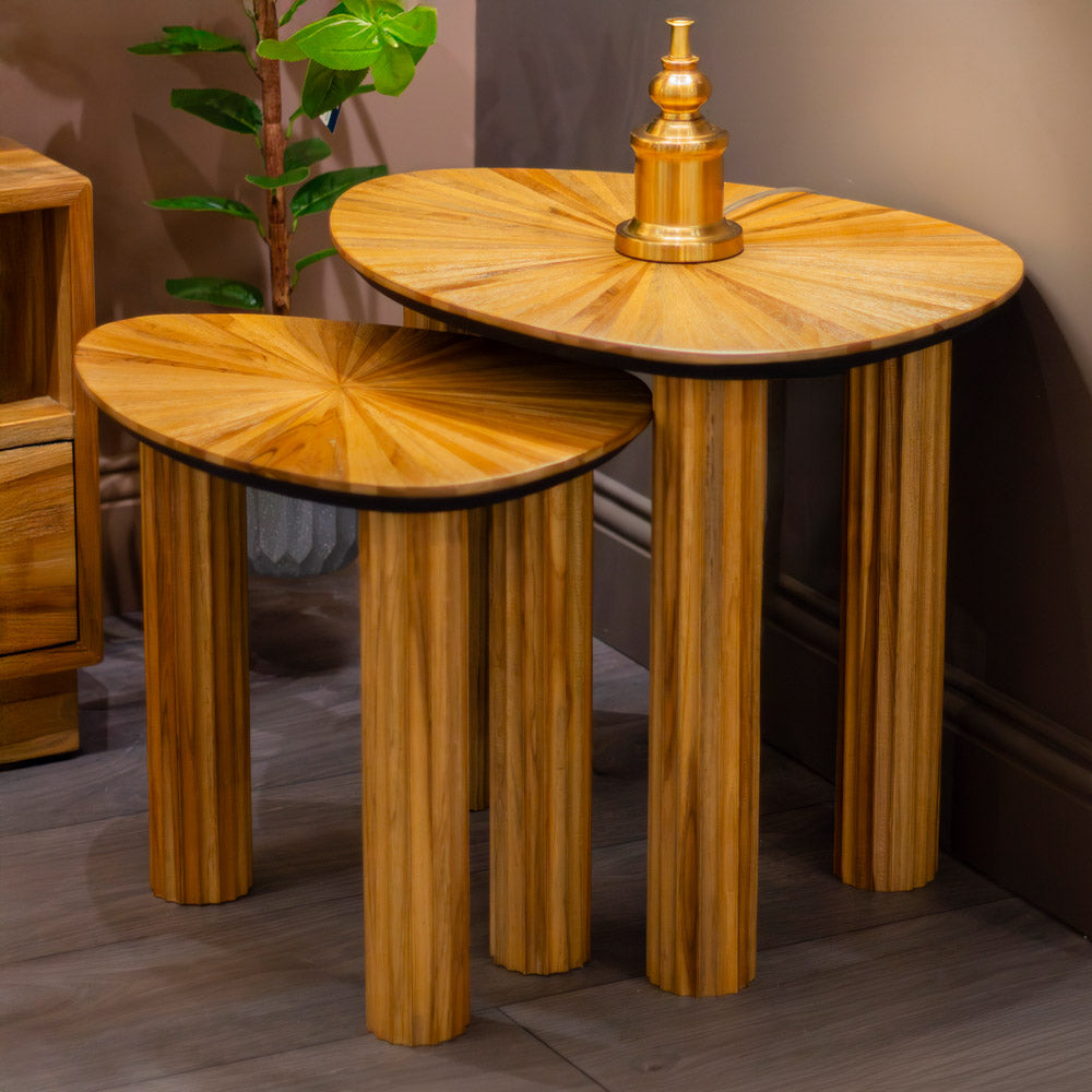 Ray S/2 Side Tables Ginger Teak