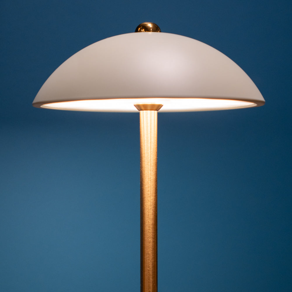 Apollo USB Rechargeable Lamp | Matt Ivory