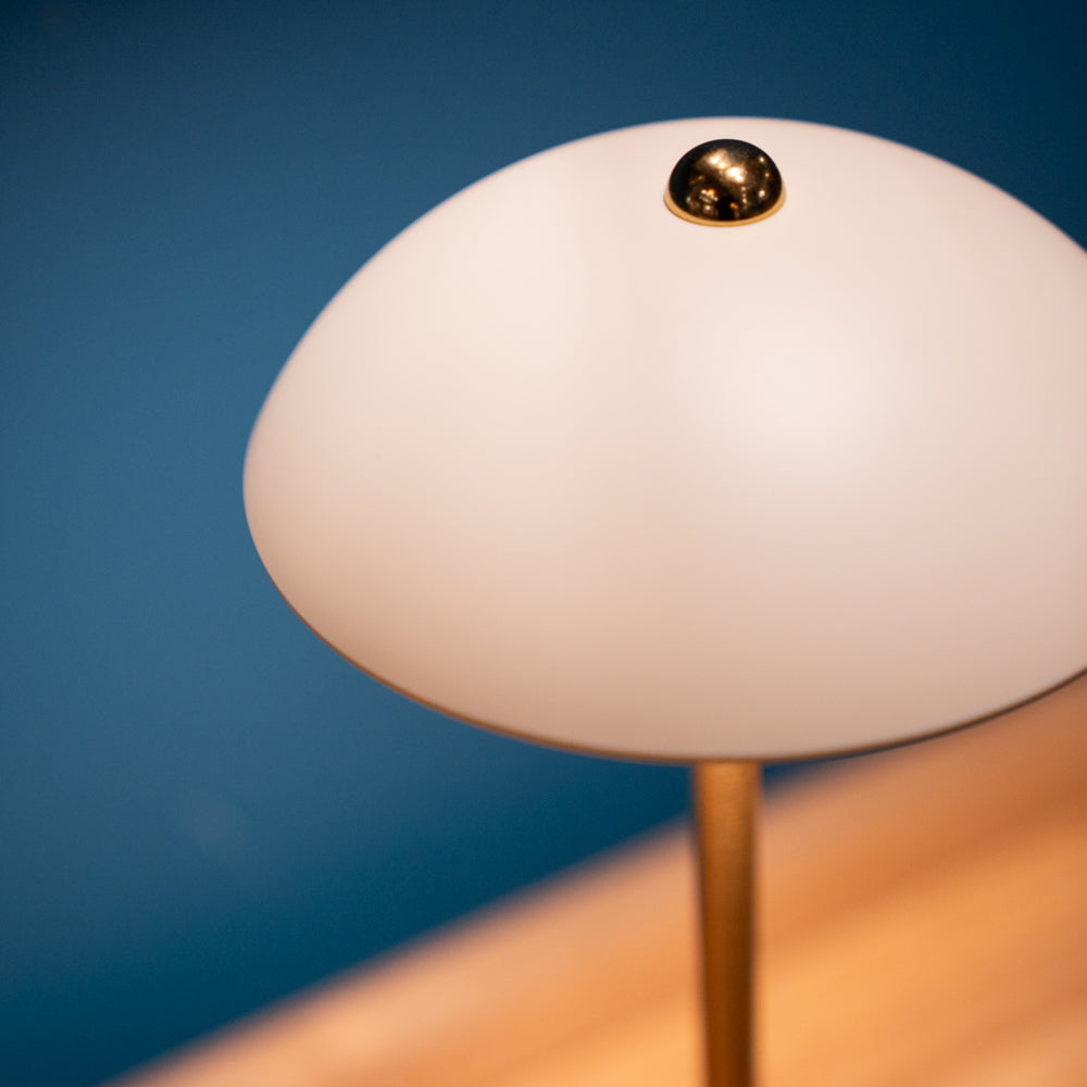 Apollo USB Rechargeable Lamp | Matt Ivory