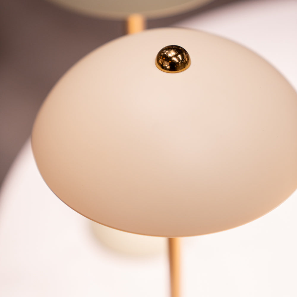 Apollo USB Rechargeable Lamp | Matt Ivory