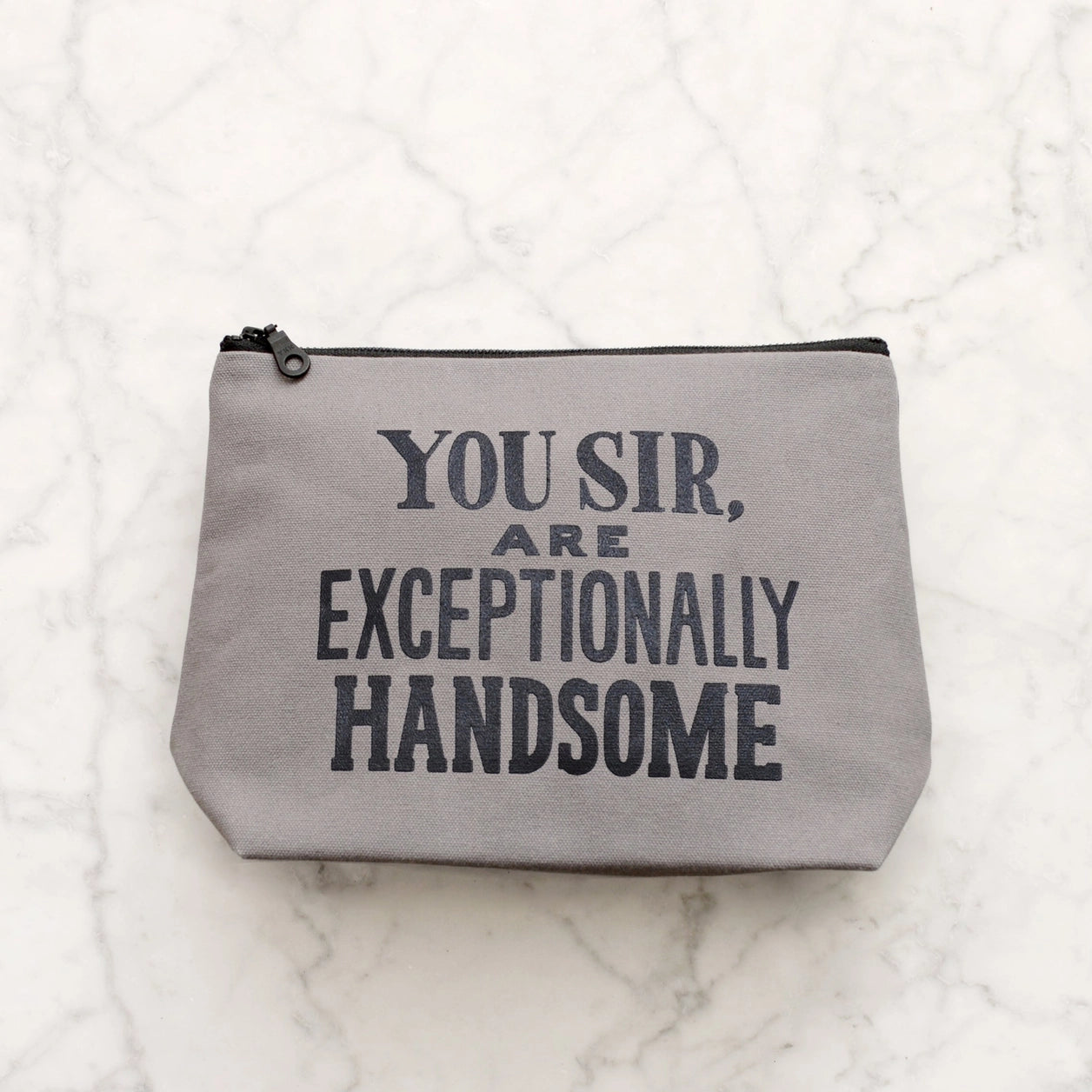 Exceptionally Handsome | Wash Bag | Grey