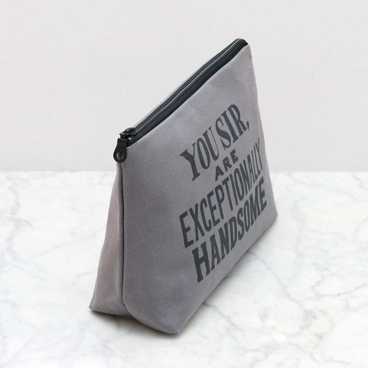 Exceptionally Handsome | Wash Bag | Grey