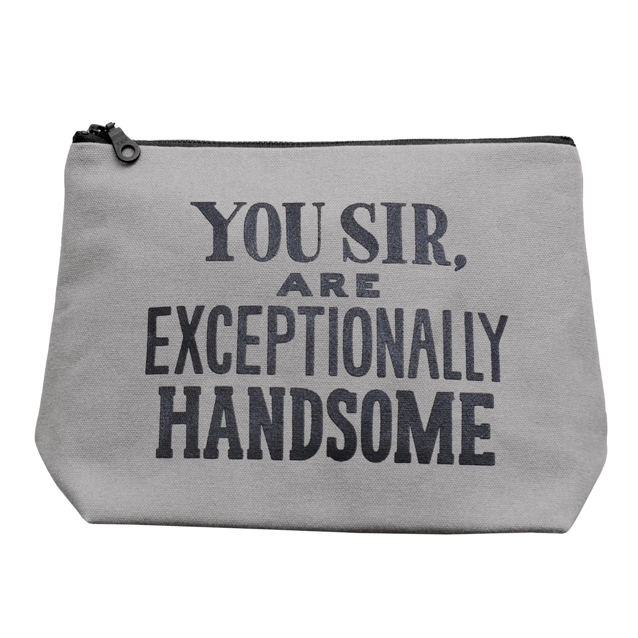 Exceptionally Handsome | Wash Bag | Grey