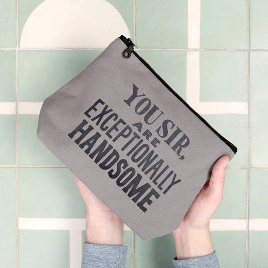 Exceptionally Handsome | Wash Bag | Grey