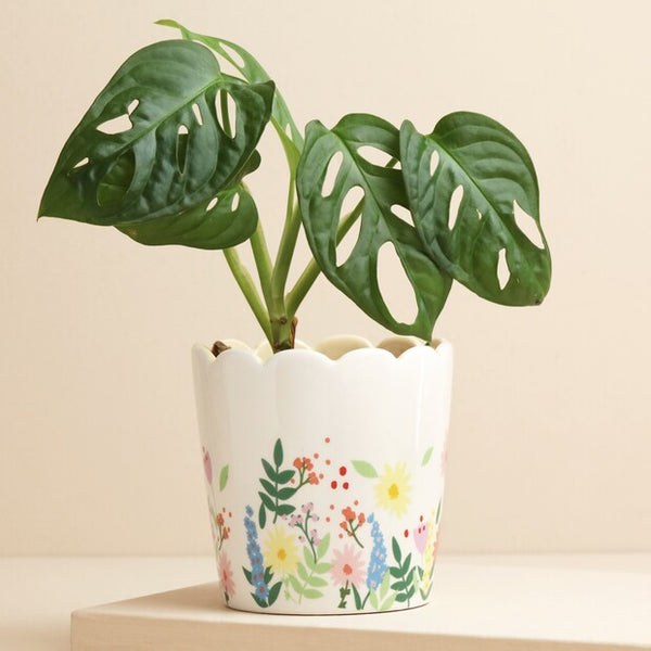 Floral Scalloped Planter