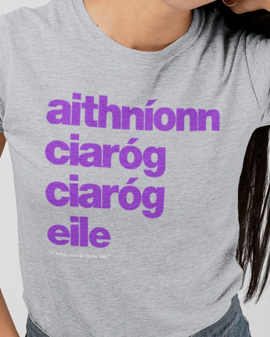 fukil | aithnionn ciarog tee | grey & purple | XL