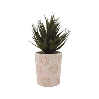 Potted Succulent | 28cm