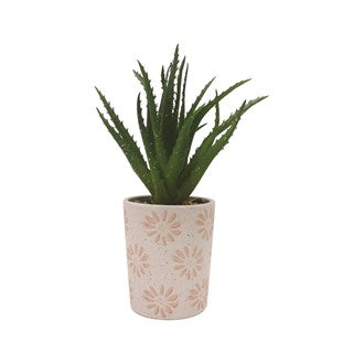 Potted Succulent 28cm