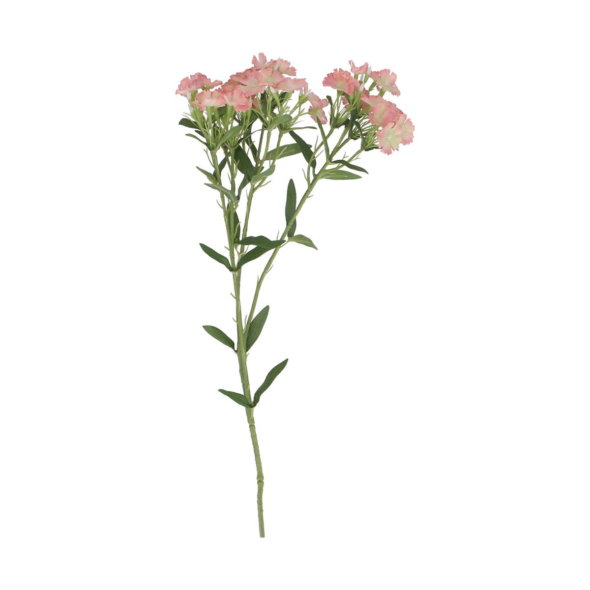 Blush Pink Spray Carnation Stem