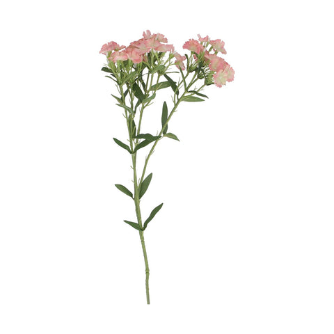 Blush Pink Spray Carnation Stem