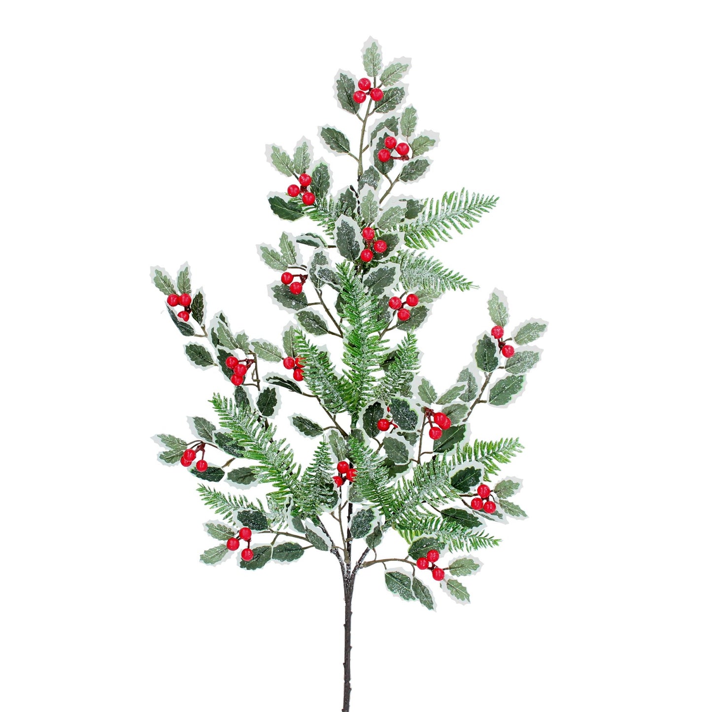 Variegated Holly/Red Berry Spray